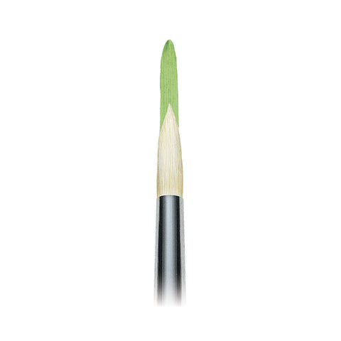 Winsor & Newton Winton Oil Brush